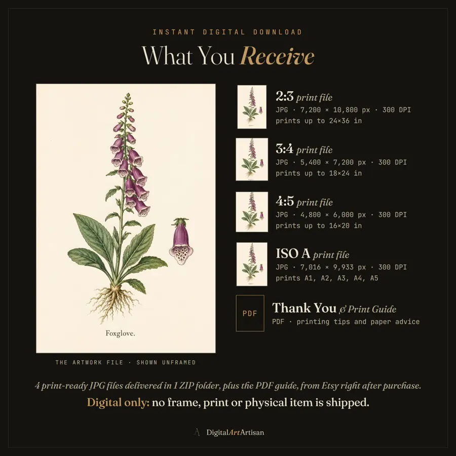 What you receive image